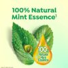 DARLIE DOUBLE ACTION ORIGINAL STRONG MINT
