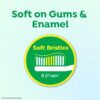 DARLIE CUTIE BUNNY 2-5 YEARS OLD KIDS MILK TEETH TOOTHBRUSH (SOFT)