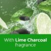 AXION PASTE LIME CHARCOAL 700G