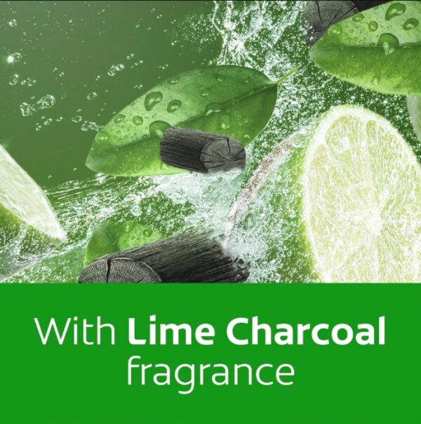 AXION PASTE LIME CHARCOAL 700G