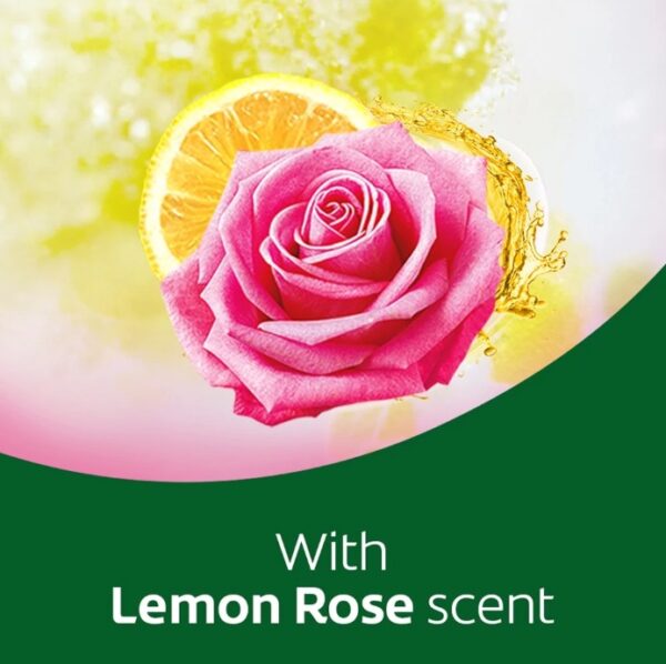 AXION PASTE LEMON ROSE 700G