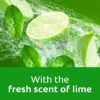AXION DISHPASTE LIME