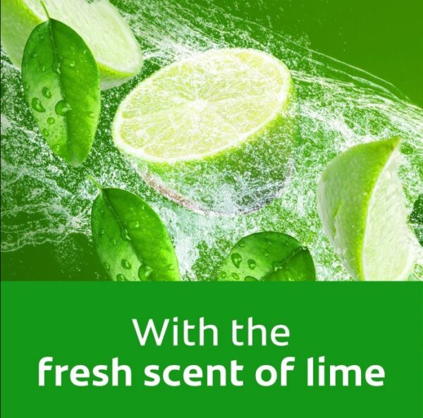 AXION DISHPASTE LIME
