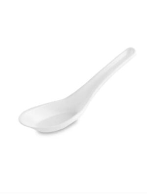 DISPOSABLE PLASTIC 5" CHINESE SPOON