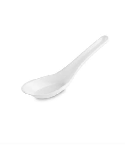 DISPOSABLE PLASTIC 5" CHINESE SPOON