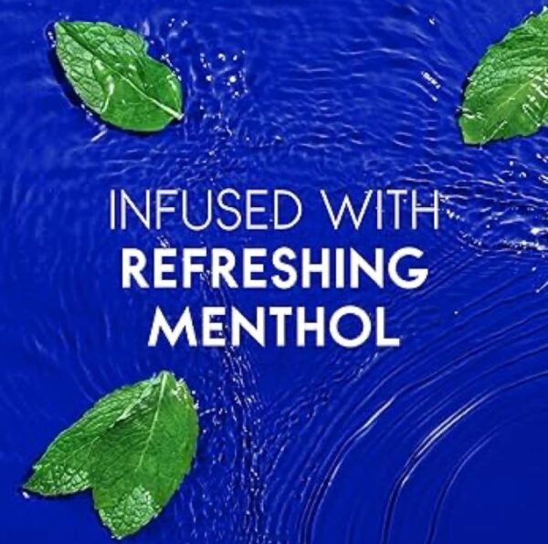 HEAD AND SHOULDERS COOL MENTHOL ANTI DANDRUFF SHAMPOO