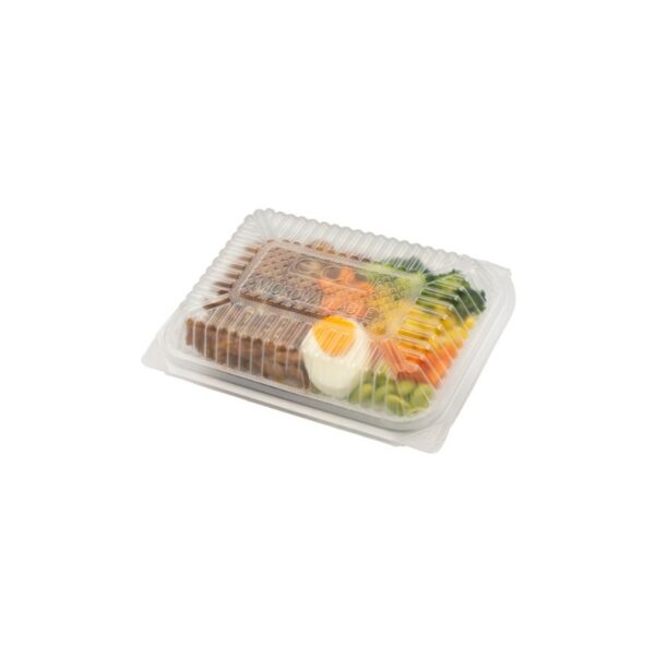 LARGE CLAMSHELL PP LUNCH BOX