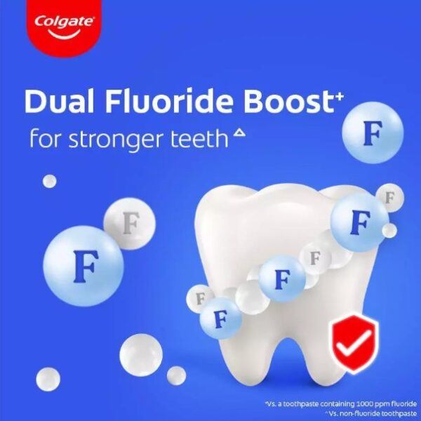 COLGATE Maximum Cavity Protection GREAT REGULAR FLAVOUR Toothpaste (Valuepack 225g x 2)