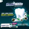 FRESH & WHITE VOLCANIC WHITENING TOOTHPASTE (140G x 2)