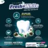FRESH & WHITE VOLCANIC WHITENING TOOTHPASTE (140G x 2)